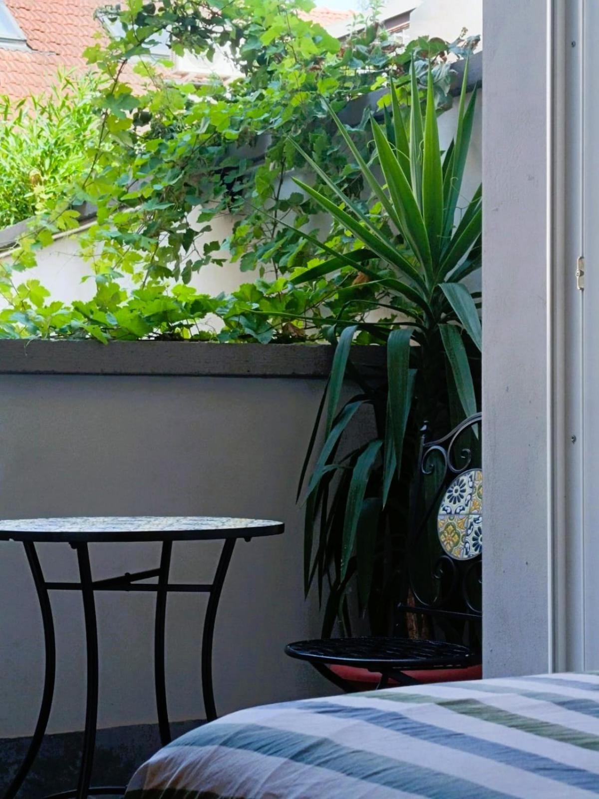 Orelli House リッソーネ エクステリア 写真